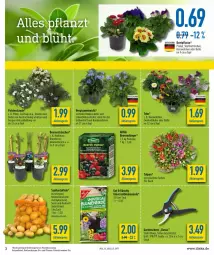 Gazetka promocyjna Diska - Prospekte - Gazetka - ważna od 19.03 do 19.03.2022 - strona 3 - produkty: burger, eis, fisch, pflanze, tee, Ti