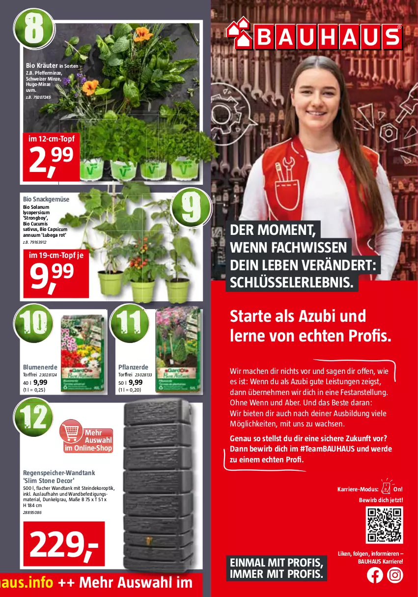 Aktueller Prospekt Bauhaus - Prospekte - von 04.06 bis 02.07.2022 - strona 5 - produkty: Bau, bio, blume, blumen, blumenerde, Cap, decor, eis, erde, hugo, kräuter, LG, mac, minze, pfeffer, pfefferminze, pflanze, pflanzerde, Ria, snack, Ti, topf, usb