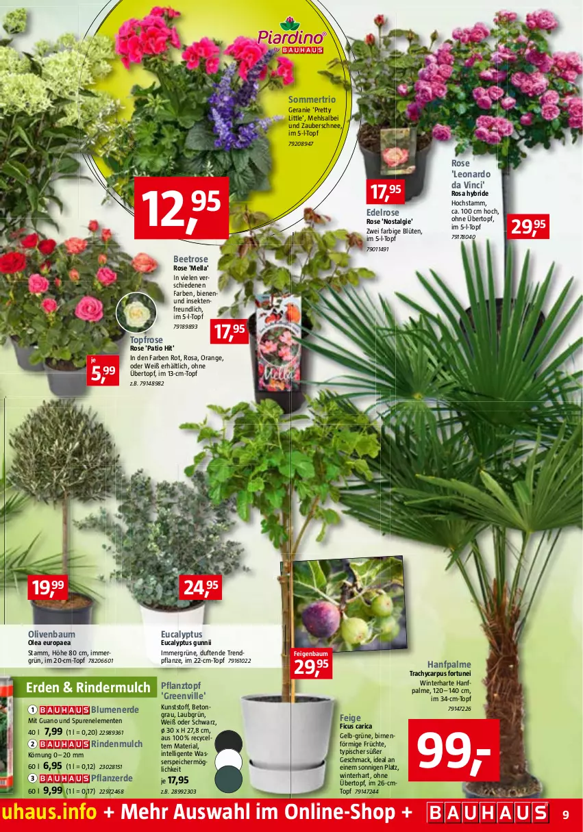 Aktueller Prospekt Bauhaus - Prospekte - von 04.06 bis 02.07.2022 - strona 9 - produkty: Bau, Birnen, blume, blumen, blumenerde, Blüte, ente, erde, Feigen, Ficus, früchte, geranie, Intel, leonardo, LG, mac, mehl, olive, oliven, orange, pflanze, pflanzerde, Pflanztopf, Ria, rind, rindenmulch, rinder, sekt, Ti, topf, übertopf, wasser