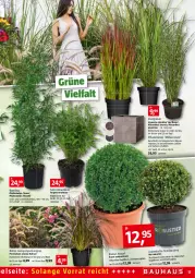 Gazetka promocyjna Bauhaus - Prospekte - Gazetka - ważna od 02.07 do 02.07.2022 - strona 11 - produkty: bambus, Bau, buch, HP, Kugel, Lampe, Läufer, rum, Ti, topf, wasser