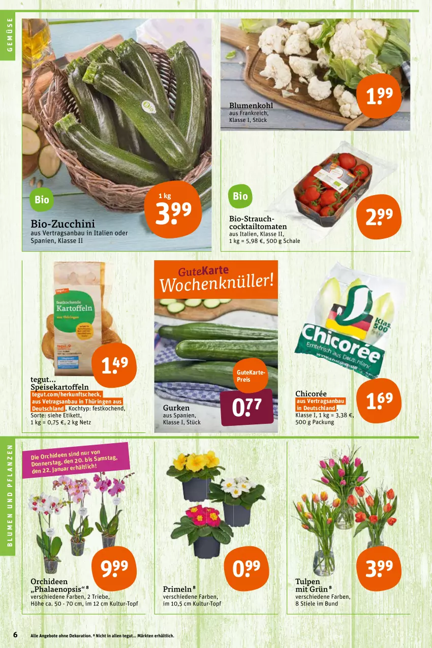 Aktueller Prospekt Tegut - Angebote der Woche - von 17.01 bis 22.01.2022 - strona 8 - produkty: angebot, angebote, Bau, bio, bio-zucchini, blume, blumen, Blumen und Pflanzen, blumenkohl, cocktail, dekoration, eis, gurke, gurken, kartoffel, kartoffeln, orchidee, orchideen, pflanze, pflanzen, phalaenopsis, Primeln, Rauch, reis, ring, Schal, Schale, speisekartoffeln, Ti, tomate, tomaten, topf, zucchini