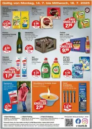 Gazetka promocyjna Vmarkt - Prospekte - Gazetka - ważna od 16.07 do 16.07.2025 - strona 20 - produkty: alle artikel ohne dekoration, Altenmünster, angebot, angebote, auer, creme, dekoration, dell, ecco, eis, elle, fairy, flasche, frizzante, kaes, katzennahrung, kitekat, kraft, limo, Mode, Paula, paulaner, prosecco, reis, ring, sim, Spezi, spülmittel, Stier, telefon, teller, theramed, Ti, Tiere, uhr, zahncreme