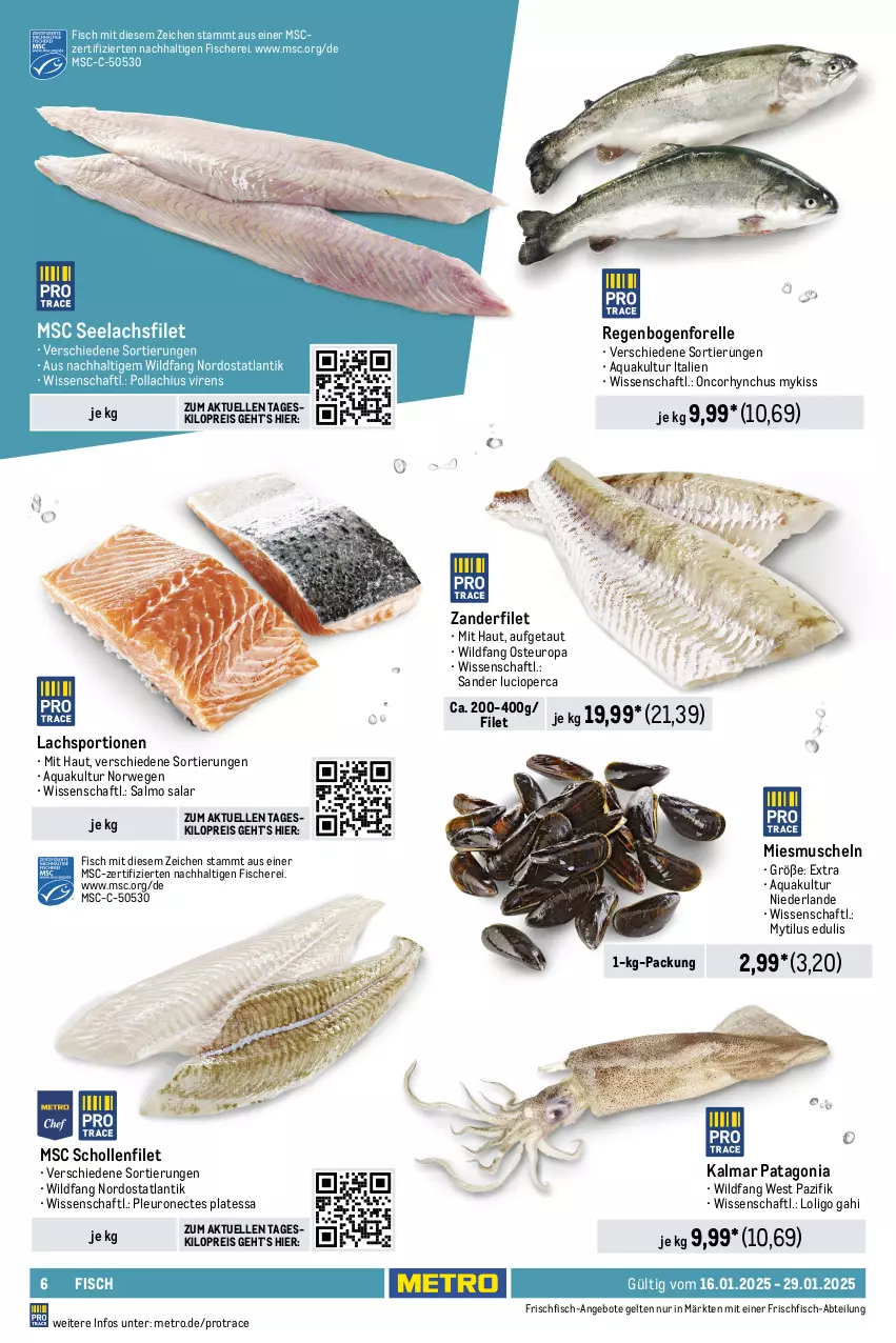 Aktueller Prospekt Metro - Food-Nonfood - von 16.01 bis 29.01.2025 - strona 6 - produkty: Abtei, angebot, angebote, aqua, Becher, beutel, eis, elle, feinkost, filet, filets, fisch, fische, Fischer, Fischfeinkost, forelle, frischfisch, frutti di mare, garnelen, hering, Herings, lachs, lachsfilet, Metro, Muscheln, Pangasius, Räucherlachs, reis, rel, ring, rwe, Schere, scholl, seelachsfilet, Sport, Ti, Tintenfischringe, Wild, wildlachs, Zander