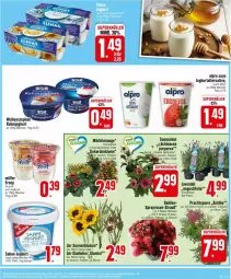 Gazetka promocyjna Edeka - Prospekte - Gazetka - ważna od 10.08 do 10.08.2024 - strona 7 - produkty: alpro, asti, Becher, blume, blumen, dahlie, Echinacea, eimer, froop, frucht, Gladiolen, joghur, joghurt, lavendel, Müller, müller froop, oreo, rahmjoghurt, rosen, sahne, Skyr, sonnenblume, sonnenblumen, soya, Ti, topf, weihenstephan