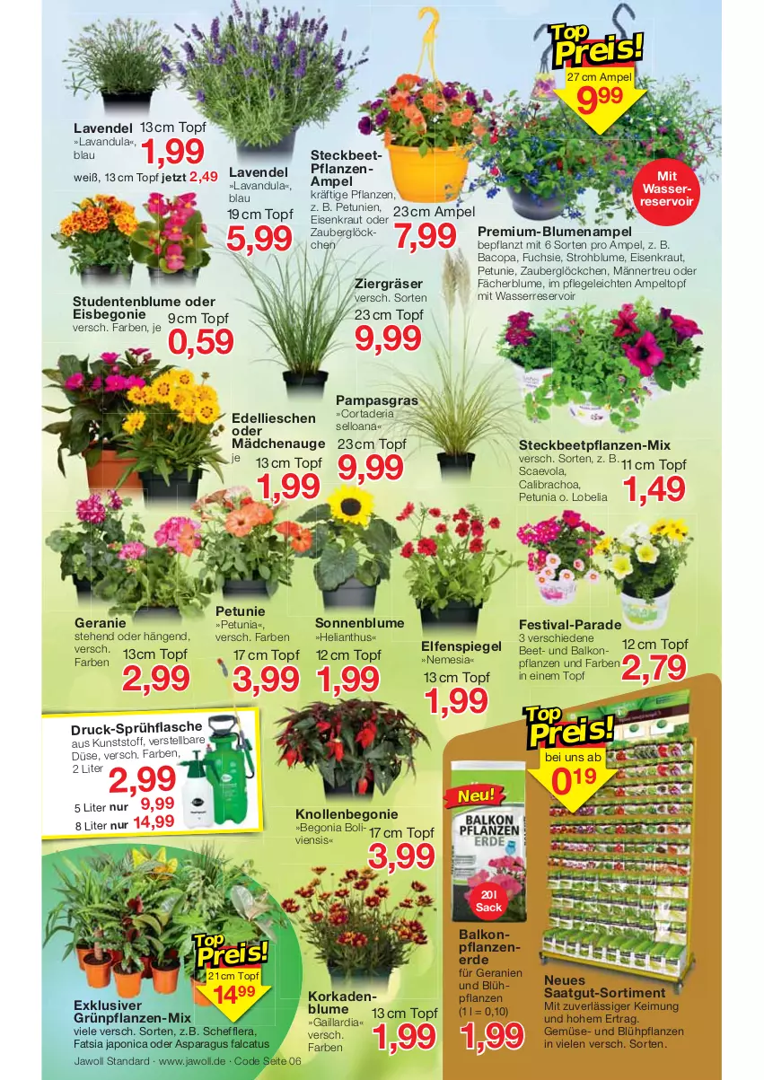 Aktueller Prospekt Jawoll - Prospekte - von 05.06 bis 11.06.2022 - strona 6 - produkty: balkonpflanzen, beetpflanzen, Begonia, Begonie, blume, blumen, Blumenampel, calibrachoa, dell, edellieschen, eis, ente, erde, flasche, geranie, geranien, Grünpflanzen, HP, Kraut, lavendel, petunie, petunien, pflanze, pflanzen, Ria, sac, sonnenblume, spiegel, sprühflasche, Strohblume, Ti, topf, wasser, zauberglöckchen