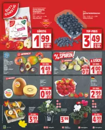 Gazetka promocyjna Edeka - Angebote der Woche - Gazetka - ważna od 14.10 do 14.10.2023 - strona 2 - produkty: avocado, beere, beeren, beutel, deka, eis, elle, heidelbeere, heidelbeeren, kiwi, kiwifruit, korb, mango, nuss, pflanze, reis, rosen, Schal, Schale, tafeläpfel, Ti, top-preis, topf, zespri, ZTE