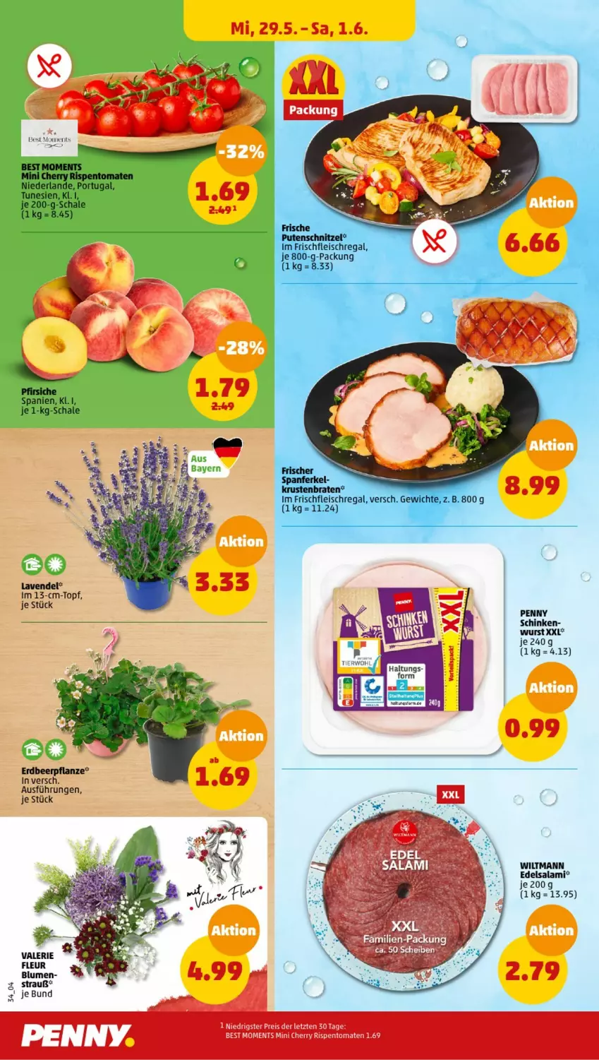 Aktueller Prospekt Penny - Prospekte - von 27.05 bis 01.06.2024 - strona 34 - produkty: blume, blumen, braten, Edelsalami, eis, Erdbeerpflanze, fleisch, krustenbraten, lavendel, pfirsich, pfirsiche, pflanze, pute, putenschnitzel, regal, reis, rispentomaten, salami, Schal, Schale, schinken, schnitzel, tomate, tomaten, topf, wiltmann, wurst, ZTE