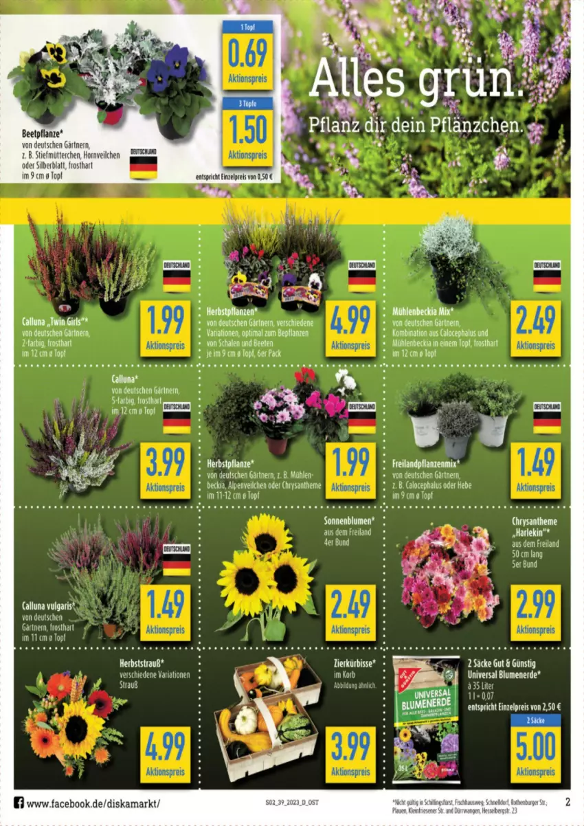 Aktueller Prospekt Diska - Prospekte - von 25.09 bis 30.09.2023 - strona 2 - produkty: aktionspreis, Alpenveilchen, blume, blumen, blumenerde, burger, eis, ente, erde, korb, Kürbis, LG, lion, pflanze, pflanzen, reis, Ria, tee, Ti, Tiere, topf