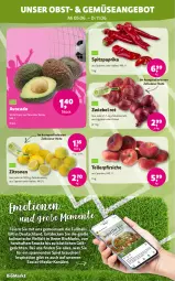 Gazetka promocyjna Denns Biomarkt - Gazetka - ważna od 18.06 do 18.06.2024 - strona 2 - produkty: angebot, avocado, ball, bio, decke, eier, elle, Fußball, grill, LG, obst, paprika, pfirsich, pfirsiche, Rauch, snack, snacks, Spitzpaprika, Stier, teller, Ti, zitrone, zitronen, zwiebel