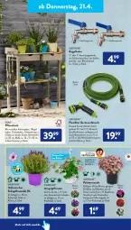 Gazetka promocyjna AldiSud - ALDI Aktuell - Gazetka - ważna od 23.04 do 23.04.2022 - strona 30 - produkty: aldi, arbeitsplatte, eis, gardenline®, Garten, gartenschlauch, geranie, geranien, kissen, Kugel, kulturtopf, latte, lavendel, Lobelie, mam, passend für alle, pflanze, pflanzen, regal, schlauch, schubladen, Ti, tisch, topf, wasser