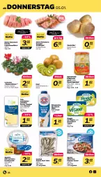 Gazetka promocyjna Netto - Woche 1 - Gazetka - ważna od 07.01 do 07.01.2023 - strona 22 - produkty: Alpenveilchen, bärenmarke, eis, esrom, filet, filets, fleisch, Fleischerei, frische milch, gewürz, Gewürzgurke, gewürzgurken, gurke, gurken, gyros, Käse, käsescheiben, kasseler, kiwi, knoblauch, meggle, milch, pfanne, pfannen, pute, Schere, schnittkäse, schnittkäsescheiben, senf, Streichzart, Ti, topf