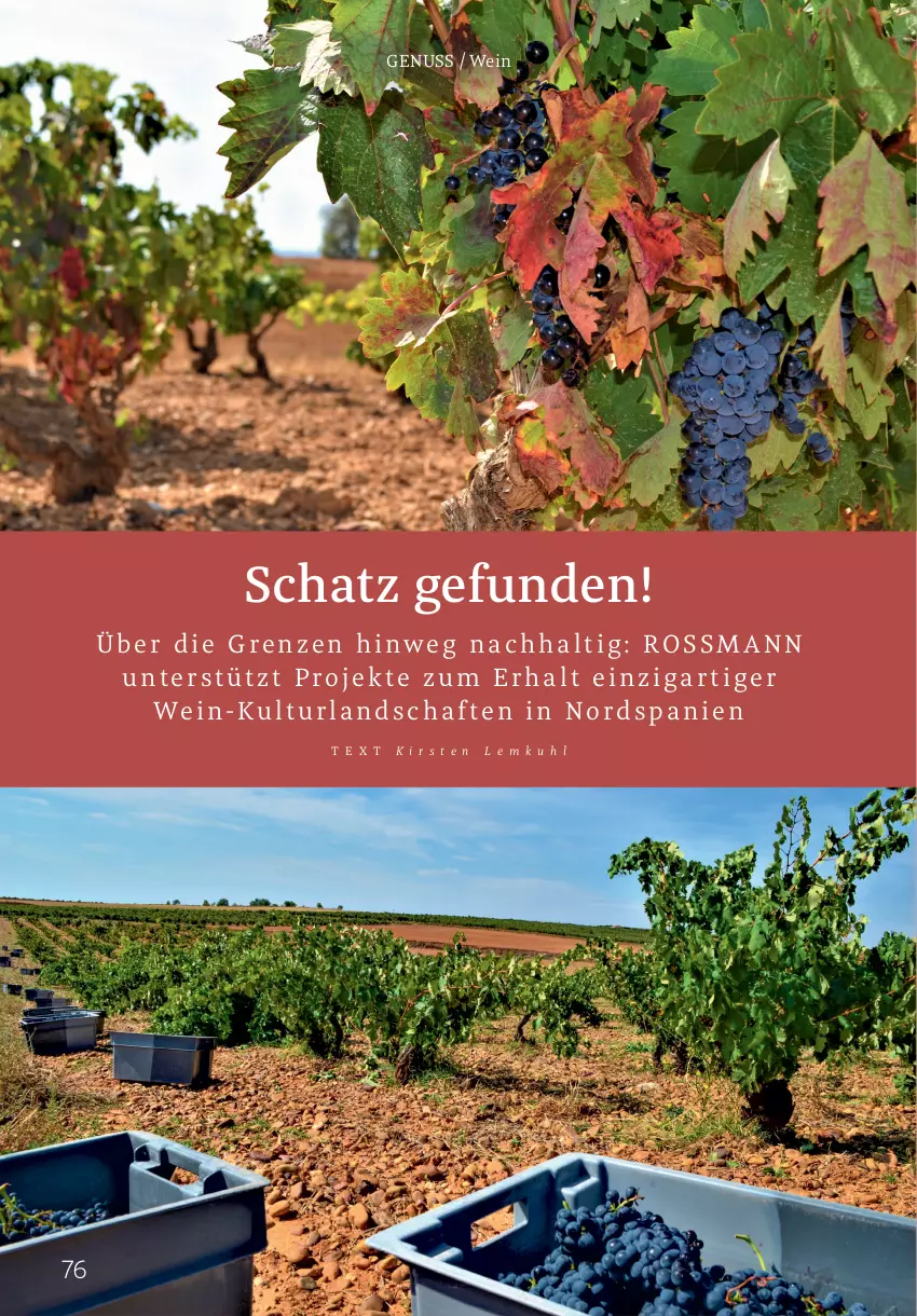 Aktueller Prospekt Rossmann - Prospekte - von 31.01 bis 06.04.2025 - strona 76 - produkty: gefu, nuss, Ti, wein