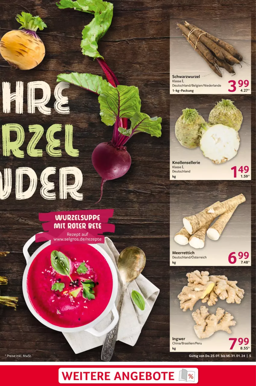 Aktueller Prospekt Selgros - Food - von 25.01 bis 31.01.2024 - strona 5 - produkty: angebot, angebote, elle, ingwer, LG, meerrettich, Rettich, rezept, rezepte, suppe, Ti, ZTE