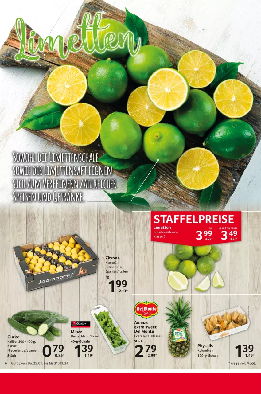 Aktueller Prospekt Selgros - Food - von 25.01 bis 31.01.2024 - strona 6 - produkty: eis, ente, gurke, minze, monte, Physalis, reis, Schal, Schale, Ti, zitrone