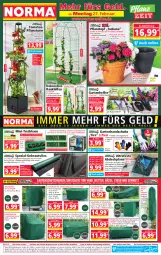 Gazetka promocyjna Norma - Norma - Gazetka - ważna od 06.03 do 06.03.2023 - strona 1 - produkty: abdeckplane, Bank, Bebe, beutel, blume, blumen, decke, dell, eis, elle, erde, fenster, fensterbank, Garten, gartenbank, gartenliege, gin, grill, handschuhe, Holz, kokos, korb, Kraut, leine, Liege, Mode, ndk, pflanze, pflanzen, Pflanztopf, reis, rosen, Schere, schirme, schuhe, schutzhülle, sessel, sonnenschirm, Spezi, Spiele, strandkorb, tablet, tablett, Tablette, Ti, tisch, tomate, tomaten, topf, wasser, wassertank