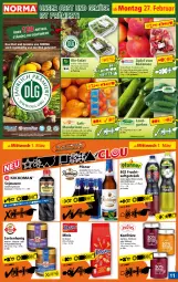 Gazetka promocyjna Norma - Norma - Gazetka - ważna od 06.03 do 06.03.2023 - strona 11 - produkty: alkohol, Apple, aprikose, beere, beeren, beutel, bio, Blüte, blütenhonig, cola, eis, erdbeere, erde, flasche, frucht, früchte, fruchtsaft, fruchtsaftgetränk, getränk, gurke, gurken, himbeer, himbeere, honig, konfitüre, Landgurken, LG, mandarine, mandarinen, minze, obst, Obst und Gemüse, orange, orangen, pils, pilsner, reis, rucola, saft, salat, sauce, soja, sojasauce, spinat, Ti, tiefpreis, und gemüse, zucker