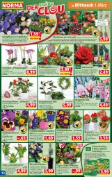 Gazetka promocyjna Norma - Norma - Gazetka - ważna od 06.03 do 06.03.2023 - strona 12 - produkty: apfel, ball, Bau, beere, beeren, beetpflanzen, Begonie, bett, beutel, blume, blumen, Blüte, braun, butter, chia, frucht, Garten, honig, kirsch, kirsche, kraft, kulturtopf, lachs, lack, Mett, Narzissen, obst, orange, orchidee, pfirsich, pflanze, pflanzen, pflaume, phalaenopsis, Primeln, rosen, sac, Schmetterling, tesa, Ti, topf, Tüte, übertopf, Wild, ZTE, zwiebel