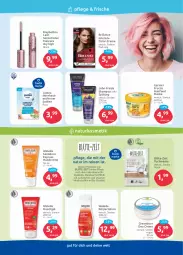 Gazetka promocyjna Edeka - Angebote der Woche - Gazetka - ważna od 14.10 do 14.10.2023 - strona 43 - produkty: bio, Blüte, brillance, creme, deo, duschgel, fructis, garnier, handcreme, Körperlotion, kosmetik, Lotion, Mascara, Maske, Maybelline, natur, naturkosmetik, sanddorn, shampoo, shampoo oder spülung, socken, spülung, Ti, tuc, tuchmaske, weleda