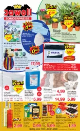 Gazetka promocyjna Jawoll - Prospekte - Gazetka - ważna od 22.01 do 22.01.2022 - strona 1 - produkty: angebot, angebote, arla, aufbewahrungsbox, auto, batterie, bree, chardonnay, citrus, decke, Deckel, dekoration, dell, Donauwellen, eis, elle, FFP2, flasche, gin, Grünpflanzen, joghur, joghurt, Käse, kissen, kraft, kuchen, Läufer, Maske, merl, merlot, Mode, Nescafé, nescafé gold, passend für alle, pflanze, pflanzen, Pinot, pinot noir, Primeln, reis, Ria, riesling, Scheibenfrostschutz, sitzkissen, Spiele, tasse, Ti, tisch, tischläufer, topf, varta, wc frisch, WC Frisch Kraft Aktiv, wc-sitz, wein, weine