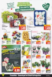 Gazetka promocyjna E Center - Angebote der Woche - Gazetka - ważna od 26.03 do 26.03.2022 - strona 2 - produkty: beere, beeren, beutel, bio, brombeere, brombeeren, champignon, champignons, cocktail, deka, edeka bio, eis, frucht, Garten, gartennelke, heidelbeere, heidelbeeren, himbeer, himbeere, himbeeren, Holz, HP, käfer, LG, mac, paprika, pflanze, Ria, sac, Schal, Schale, Schütze, sekt, tafeläpfel, tafeltrauben, Ti, topf, trauben, Yo