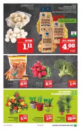 Gazetka promocyjna Marktkauf - Prospekt - Gazetka - ważna od 08.01 do 08.01.2022 - strona 11 - produkty: brokkoli, champignon, champignons, deka, eis, kartoffel, kartoffeln, möhren, radieschen, Schal, Schale, speisekartoffeln, Speisezwiebeln, tee, Ti, zwiebel, zwiebeln