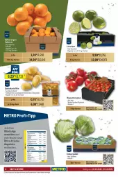 Gazetka promocyjna Metro - GastroJournal - Gazetka - ważna od 31.12 do 31.12.2024 - strona 8 - produkty: angebot, angebote, coupon, decke, eis, eisbergsalat, elle, kartoffel, kartoffeln, limette, limetten, Metro, Mett, metten, obst, orange, orangen, reis, rispentomaten, sac, saft, Saftorangen, salat, speisekartoffeln, Ti, tomate, tomaten