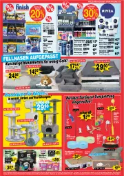 Gazetka promocyjna  - Prospekte - Gazetka - ważna od 14.06 do 14.06.2025 - strona 7 - produkty: after shave, angebot, angebote, ball, bett, creme, deo, deospray, eis, elle, feuchtigkeitscreme, fisch, fische, geschirr, Hundebett, katzenfutter, klarspüler, minze, papier, Pflegecreme, Rasierschaum, reis, shampoo, spielzeug, Tasche, taschen, teller, Ti, waschgel