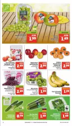 Gazetka promocyjna Marktkauf - Prospekt - Gazetka - ważna od 09.09 do 09.09.2023 - strona 10 - produkty: banane, bananen, deka, eier, eis, fleisch, mandarine, mandarinen, Nektar, nektarinen, reis, Schal, Schale, tafeläpfel, tafeltrauben, tee, Ti, trauben, ZTE