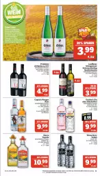 Gazetka promocyjna Marktkauf - Prospekt - Gazetka - ważna od 09.09 do 09.09.2023 - strona 25 - produkty: aktionspreis, alkohol, Cap, captain morgan, deka, eis, flasche, gin, gordon, gordon's, nuss, primitivo, qualitätswein, reis, riesling, rum, schwarzriesling, Sierra, tequila, Three Sixty, Ti, vodka, wein, ZTE