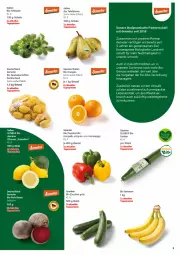 Gazetka promocyjna Globus - Prospekte - Gazetka - ważna od 14.01 do 14.01.2023 - strona 3 - produkty: asti, banane, bananen, beutel, bio, Birnen, eis, elle, ente, Faktu, feldsalat, gurke, gurken, kartoffel, kartoffeln, lebensmittel, LG, nuss, orange, orangen, paprika, Rauch, salat, Schal, Schale, speisekartoffeln, tafelbirnen, Ti, zitrone, zitronen, zucchini