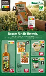 Gazetka promocyjna Rewe - Diese Woche im Angebot! - Gazetka - ważna od 23.04 do 23.04.2022 - strona 11 - produkty: Bau, bio, condimento, Condimento Bianco, drink, Falafel, Gesundheit, hafer, hummus, ingwer, natur, rewe bio, Sorbet, Ti, zitrone, zitronen, zucker