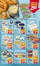 Gazetka promocyjna Rewe - Diese Woche im Angebot! - Gazetka - ważna od 23.04 do 23.04.2022 - strona 9 - produkty: aktionspreis, alpro, arla, arla skyr, butter, buttermilch, danone, danone fruchtzwerge, Dr. Oetker, drink, drinks, eis, frucht, fruchtzwerge, gin, grütze, homann, joghur, joghurt, kartoffel, kartoffelsalat, kerrygold, kerrygold extra, lätta, marmorette, milch, Müller, Paula, paula pudding, Pflanzliche Drink, pudding, reis, Rote Grütze, salat, Skyr, Ti