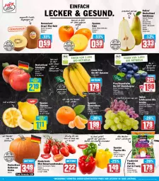 Gazetka promocyjna Hit - Wochenprospekt - Gazetka - ważna od 25.10 do 25.10.2025 - strona 2 - produkty: alexa, apfel, auer, banane, bananen, beere, beeren, beutel, bio, bio hit, Birnen, braten, clementinen, discount, eis, Elan, erde, fleisch, florette, früchte, grill, heidelbeere, heidelbeeren, joghur, joghurt, Kaki, kiwi, Kiwi Gold, Kürbis, Malibu, nuss, obst, paprika, paprika mix, quark, reis, rispentomaten, rwe, saft, salat, salate, Schal, Schale, shake, snack, tafeläpfel, tafelbirnen, tafeltrauben, Ti, tisch, tomate, tomaten, trauben, vita, Vitamin C, zespri, zitrone, zitronen, ZTE