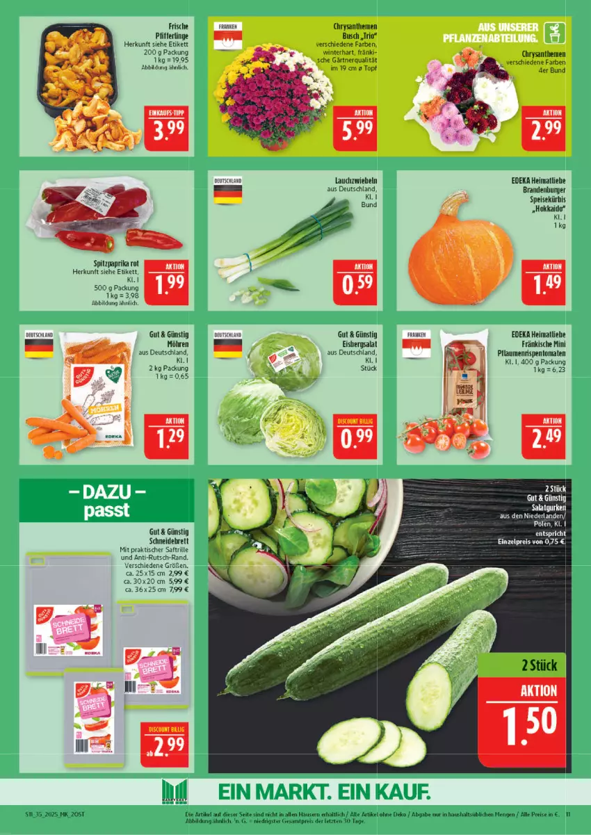 Aktueller Prospekt Marktkauf - Prospekt - von 24.08 bis 30.08.2025 - strona 11 - produkty: burger, chrysanthemen, deka, discount, eis, eisbergsalat, gurke, gurken, Kürbis, Lauchzwiebel, lauchzwiebeln, möhren, paprika, Pfifferlinge, pflaume, pflaumen, reis, rispentomaten, saft, salat, Salatgurke, salatgurken, schneidebrett, Ti, tisch, tomate, tomaten, topf, ZTE, zwiebel, zwiebeln