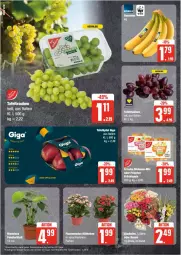Gazetka promocyjna Edeka - Prospekte - Gazetka - ważna od 17.08 do 17.08.2024 - strona 6 - produkty: eis, reis, tafeltrauben, Ti, trauben, ZTE