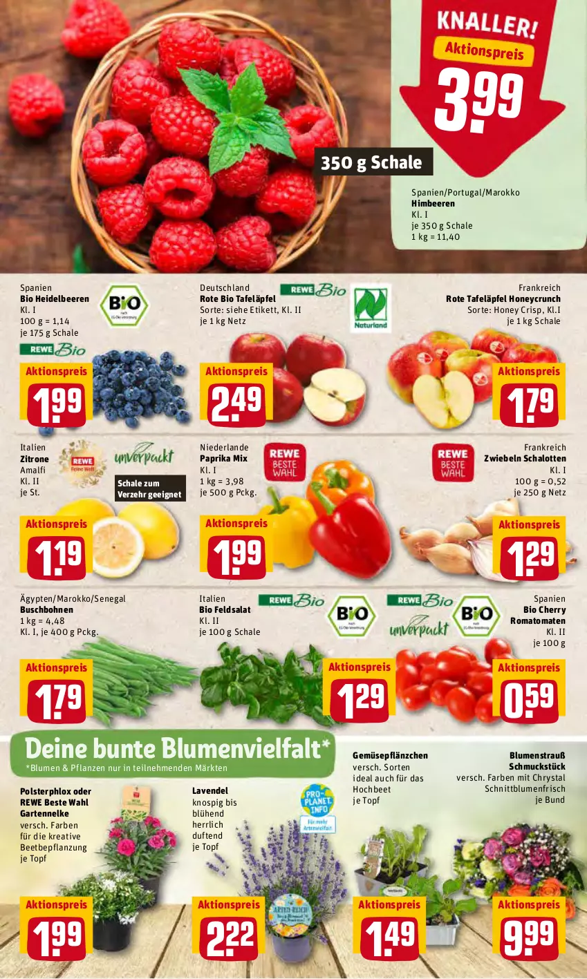 Aktueller Prospekt Rewe - Prospekte - von 25.04 bis 01.05.2022 - strona 2 - produkty: aktionspreis, beere, beeren, bio, blume, blumen, Blumenstrauß, bohne, bohnen, Buschbohnen, eis, feldsalat, Garten, gartennelke, heidelbeere, heidelbeeren, himbeer, himbeere, himbeeren, lavendel, paprika, paprika mix, pflanze, pflanzen, reis, rewe beste wahl, Romatomaten, rote tafeläpfel, salat, Schal, Schale, Schalotte, Schmuck, tafeläpfel, Ti, tomate, tomaten, topf, zitrone, zwiebel, zwiebeln