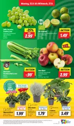 Gazetka promocyjna Lidl - Aktionsprospekt - Gazetka - ważna od 30.09 do 30.09.2023 - strona 3 - produkty: Alpenveilchen, angebot, bio, discount, Draht, eis, elle, limette, limetten, Mett, metten, pflanze, pflanzen, reis, stauden, Thea, Ti, topf, trauben, ZTE