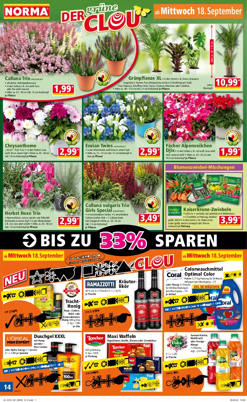 Aktueller Prospekt Norma - Norma - von 16.09 bis 23.09.2024 - strona 14 - produkty: Alpenveilchen, blume, blumen, Blüte, colorwaschmittel, DJI, duschgel, Ficus, flasche, frucht, früchte, gin, honig, Kaiser, kakao, kräuter, kräuterlikör, krone, kulturtopf, LG, likör, mango, monster, Monstera, orange, pflanze, pflanzen, Ria, sonnenblume, sonnenblumen, Thea, Ti, topf, übertopf, vanille, waffeln, waschmittel, wein, zitrone, zwiebel, zwiebeln