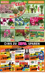 Gazetka promocyjna Norma - Norma - Gazetka - ważna od 23.09 do 23.09.2024 - strona 14 - produkty: Alpenveilchen, blume, blumen, Blüte, colorwaschmittel, DJI, duschgel, Ficus, flasche, frucht, früchte, gin, honig, Kaiser, kakao, kräuter, kräuterlikör, krone, kulturtopf, LG, likör, mango, monster, Monstera, orange, pflanze, pflanzen, Ria, sonnenblume, sonnenblumen, Thea, Ti, topf, übertopf, vanille, waffeln, waschmittel, wein, zitrone, zwiebel, zwiebeln