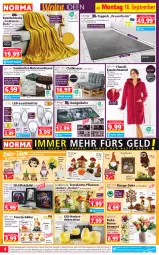 Gazetka promocyjna Norma - Norma - Gazetka - ważna od 23.09 do 23.09.2024 - strona 4 - produkty: apfel, aubergine, auer, batterie, batterien, Bau, Bebe, blume, blumen, Blumenstrauß, Blüte, braun, cashmere, creme, decke, Dekofigur, dekoration, dell, eis, elle, fenster, gin, Heu, Holz, hörnchen, iglo, kerze, Kette, kissen, Kürbis, kuscheldecke, Kuschelmantel, Läufer, leuchtmittel, LG, Liege, mango, Mantel, matratze, matratzen, Mode, ndk, pflanze, pflanzen, pilze, reis, reiss, rosen, rwe, SANTE, Schal, senf, sitzkissen, sonnenblume, sonnenblumen, Spezi, Spiele, teppich, Ti, usb, Wichtel