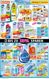 Gazetka promocyjna Norma - Norma - Gazetka - ważna od 23.09 do 23.09.2024 - strona 6 - produkty: apfel, auer, auto, basilikum, beutel, bio, biozidprodukte, Bodentücher, bree, citrus, eis, flasche, gefrierbeutel, gin, Heu, kraft, laminat, limette, lufterfrischer, Maschinenpfleger, Mett, milch, Rauch, reiniger, Reinigung, reinigungstücher, reis, rwe, scheuermilch, spülmaschinen, Ti, tisch, topf, tuc, tücher, waschmaschine, waschmaschinen, waschmittel, wc-gel, weck