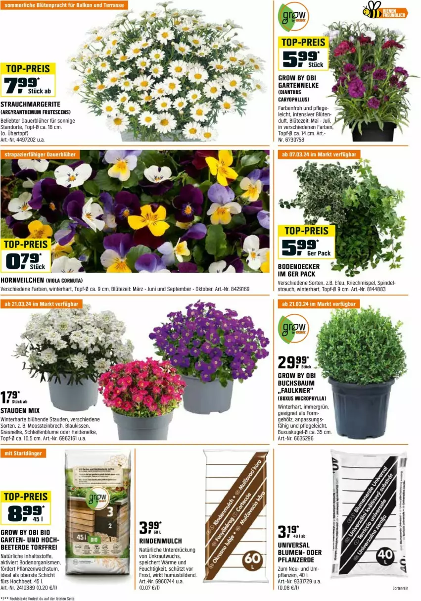 Aktueller Prospekt Obi - Prospekte - von 29.02 bis 31.03.2024 - strona 2 - produkty: auer, Bau, bio, blume, blumen, Blüte, buch, decke, eis, erde, Garten, gartennelke, kissen, Kraut, Kugel, pflanze, pflanzen, pflanzerde, Rauch, reis, rind, rindenmulch, stauden, Ti, top-preis, topf, übertopf, usb, Yo, ZTE