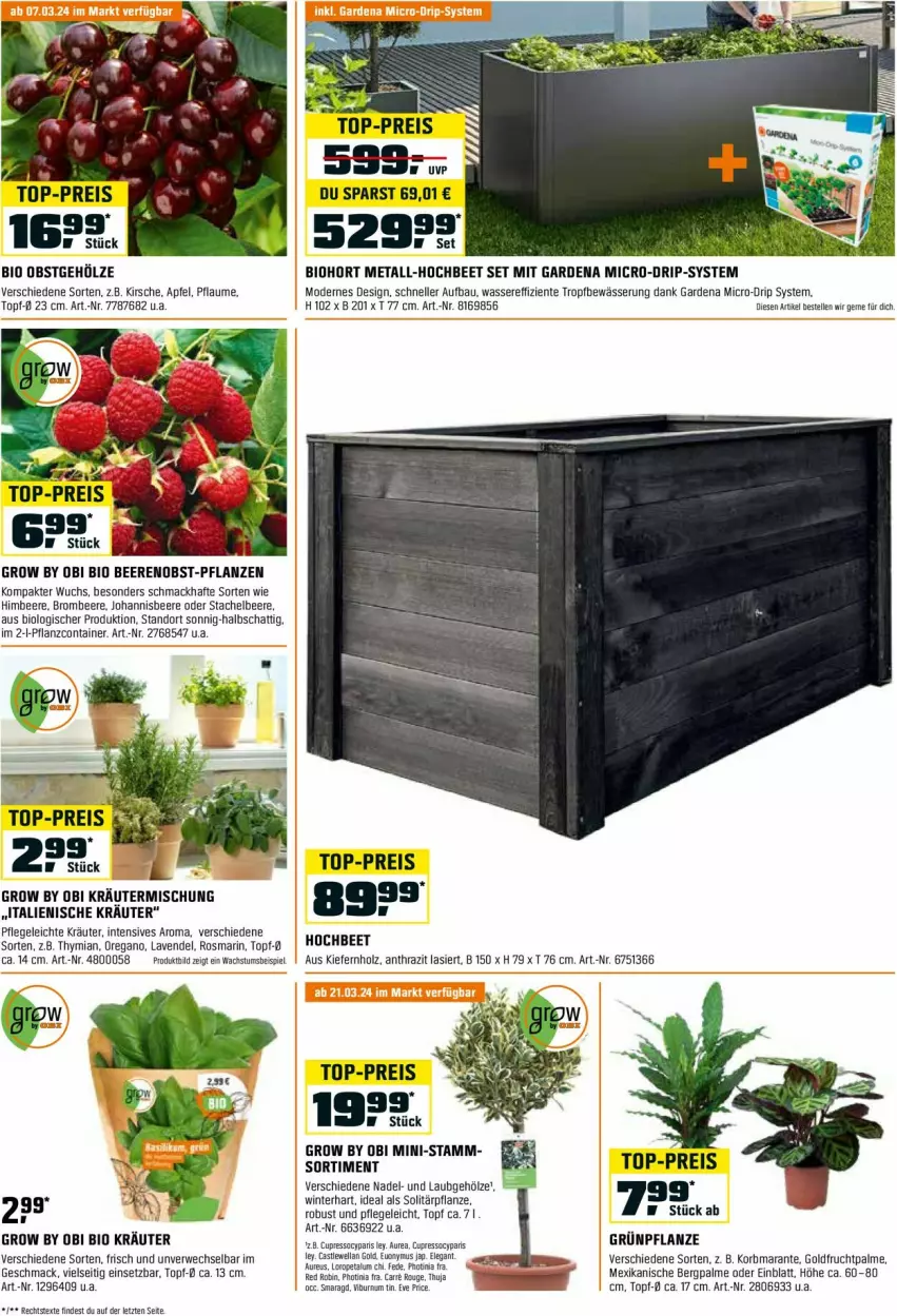 Aktueller Prospekt Obi - Prospekte - von 29.02 bis 31.03.2024 - strona 3 - produkty: apfel, Bau, beere, beeren, bio, biohort, brombeere, Container, eis, elle, ente, frucht, gardena, himbeer, himbeere, Holz, johannisbeere, kirsch, kirsche, korb, kräuter, Kräutermischung, lavendel, mac, Mode, obst, pflanze, pflanzen, pflaume, reis, rosmarin, rouge, rwe, Ti, top-preis, topf, wasser, ZTE