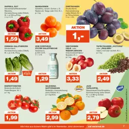 Gazetka promocyjna Real - Gazetka - ważna od 09.09 do 09.09.2023 - strona 7 - produkty: eis, Elan, fleisch, LG, mandarine, mandarinen, Nektar, nektarinen, orange, orangen, paprika, Ria, rispentomaten, saft, Saftorangen, salat, salatherzen, salatsauce, sauce, Schal, Schale, Sylter, tafeläpfel, tafeltrauben, Ti, tomate, tomaten, trauben, valensina, Zum Dorfkrug