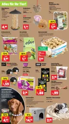 Gazetka promocyjna Thomas Philipps - Gazetka - ważna od 20.01 do 20.01.2024 - strona 2 - produkty: akku, auer, blume, blumen, Bodenplatte, decke, Deckel, eis, elle, ente, erdnuss, erdnüsse, fleecedecke, fleisch, hafer, hundesnack, katzenfutter, kleid, Kleidung, Knödel, latte, leds, Meisenknödel, nuss, Plüsch, Ragout, rind, rinder, ring, rum, schinken, serrano, serrano schinken, snack, sonnenblume, sonnenblumen, Sonnenblumenkerne, Streufutter, terrine, Ti, usb, Vogelfutter, Wild