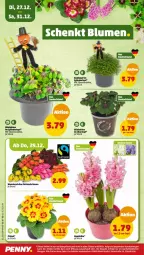 Gazetka promocyjna Penny - Prospekte - Gazetka - ważna od 30.12 do 30.12.2022 - strona 22 - produkty: eis, Elan, erde, reis, rel, rosen, Ti, topf, übertopf