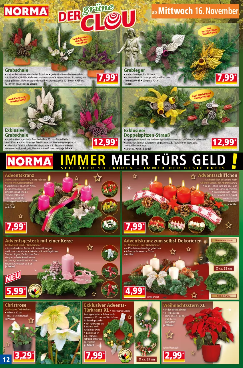 Aktueller Prospekt Norma - Norma - von 14.11 bis 21.11.2022 - strona 12 - produkty: Adventskranz, beere, Blüte, Brei, brombeere, creme, dekoration, elle, Engel, Grabschale, kerze, Konifere, Kranz, Kugel, kulturtopf, messer, natur, orange, pflanze, Schal, Schale, Schiffchen, tee, Ti, topf, Türkranz, übertopf, Weihnachtsstern