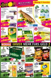 Gazetka promocyjna Norma - Norma - Gazetka - ważna od 21.11 do 21.11.2022 - strona 9 - produkty: Alwa, anti-falten experte, aqua, beutel, Blüte, dip, eis, elle, erdnüsse, fenchel, flasche, forelle, früchte, Früchtetee, gin, grapefruit, honig, Käse, kräuter, kühlregal, mango, mineralwasser, nacho, nacho cheese, natur, natürliches mineralwasser, nuss, paprika, pfirsich, pils, pilsner, regal, reis, rel, Salsa, salz, Spezi, tee, Ti, tortilla, tortillas, wasser, Wild, wild paprika, zitrone