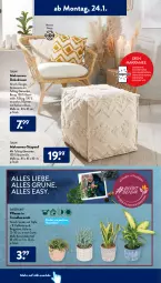 Gazetka promocyjna AldiSud - ALDI Aktuell - Gazetka - ważna od 29.01 do 29.01.2022 - strona 14 - produkty: aldi, Bau, baumwolle, decke, dekokissen, ente, gardenline®, kaffee, kissen, ndk, pflanze, Rauch, Ti, topf, übertopf, wolle