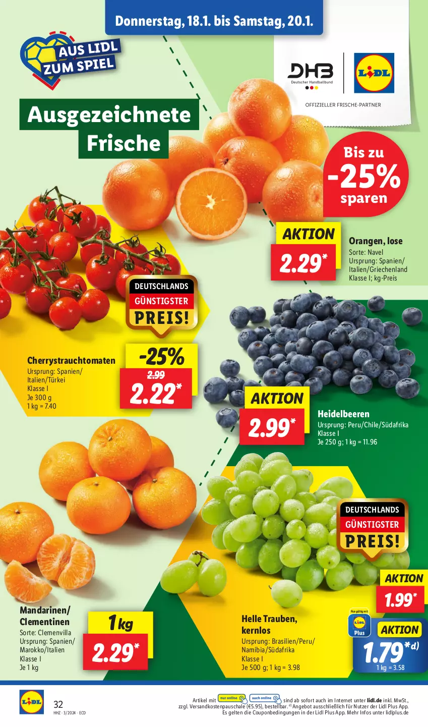 Aktueller Prospekt Lidl - Aktionsprospekt - von 15.01 bis 20.01.2024 - strona 38 - produkty: angebot, beere, beeren, clementinen, coupon, eis, elle, heidelbeere, heidelbeeren, mandarine, mandarinen, ndk, orange, orangen, Rauch, reis, Schal, Schale, strauchtomaten, Ti, tomate, tomaten, trauben